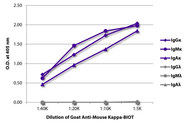 Abbildung: Ziege IgG anti-Maus Kappa (leichte Kette)-Biotin, MinX keine