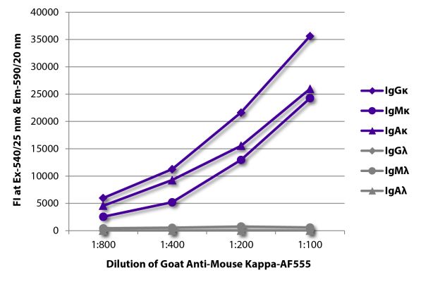 Image: Goat IgG anti-Mouse Kappa light chain-Alexa Fluor 555, MinX none