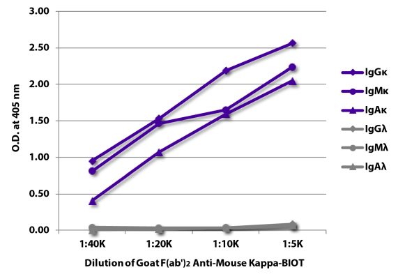 Abbildung: Ziege F(ab')2 anti-Maus Kappa (leichte Kette)-Biotin, MinX keine