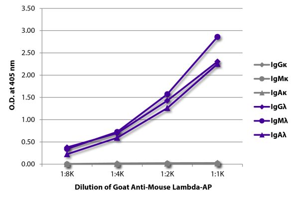 Abbildung: Ziege IgG anti-Maus Lambda (leichte Kette)-Alk. Phos., MinX keine