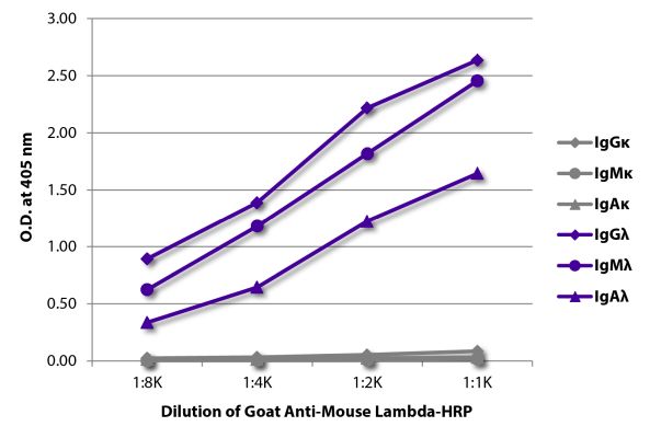 Abbildung: Ziege IgG anti-Maus Lambda (leichte Kette)-HRPO, MinX keine