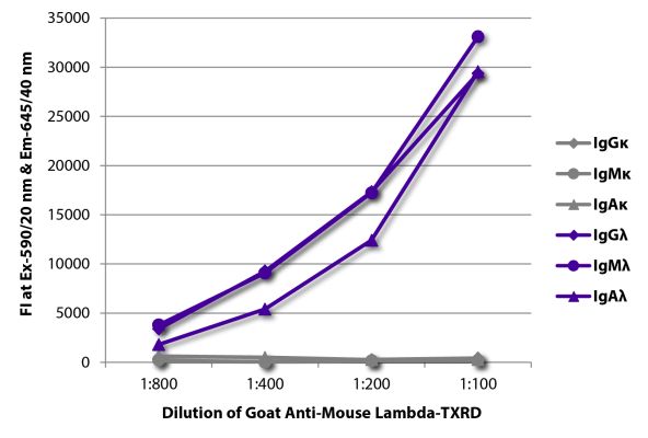 Image: Goat IgG anti-Mouse Lambda light chain-Texas Red, MinX none