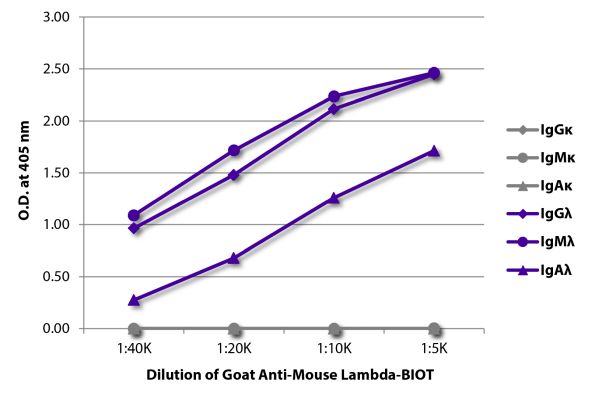 Abbildung: Ziege IgG anti-Maus Lambda (leichte Kette)-Biotin, MinX keine