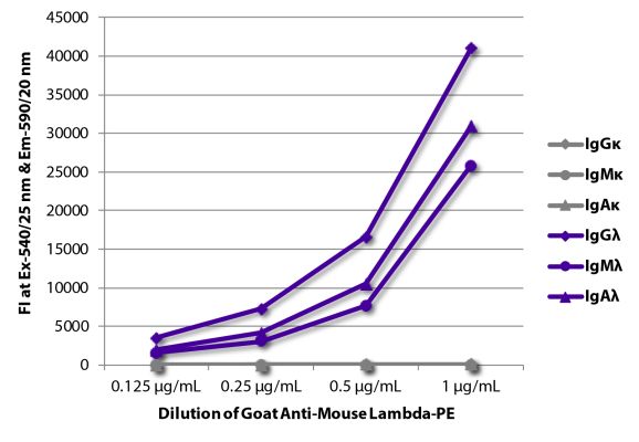 Image: Goat IgG anti-Mouse Lambda light chain-RPE, MinX none