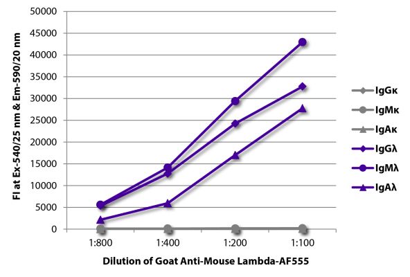 Image: Goat IgG anti-Mouse Lambda light chain-Alexa Fluor 555, MinX none