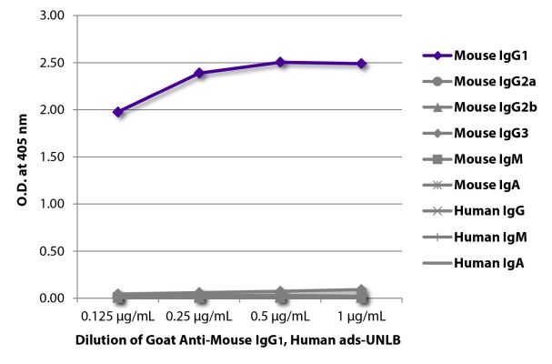 Image: Goat IgG anti-Mouse IgG1 (Fc)-unconj., MinX Hu