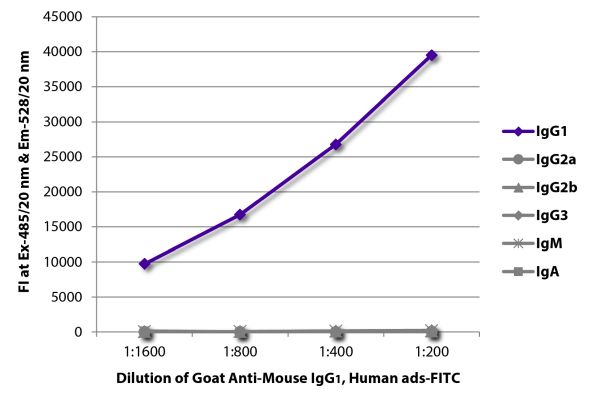Abbildung: Ziege IgG anti-Maus IgG1 (Fc)-FITC, MinX Hu
