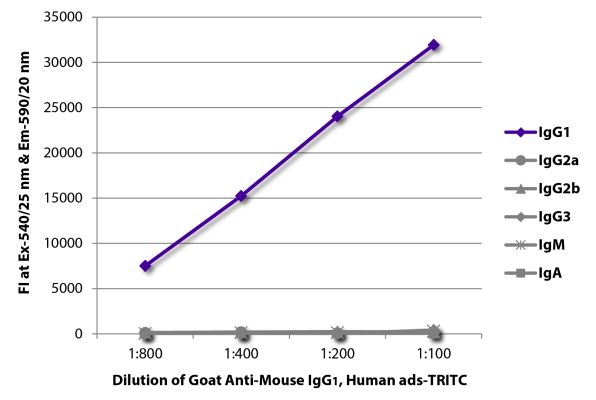 Image: Goat IgG anti-Mouse IgG1 (Fc)-TRITC, MinX Hu