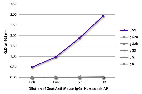 Image: Goat IgG anti-Mouse IgG1 (Fc)-Alk. Phos., MinX Hu