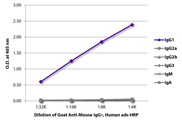 Abbildung: Ziege IgG anti-Maus IgG1 (Fc)-HRPO, MinX Hu
