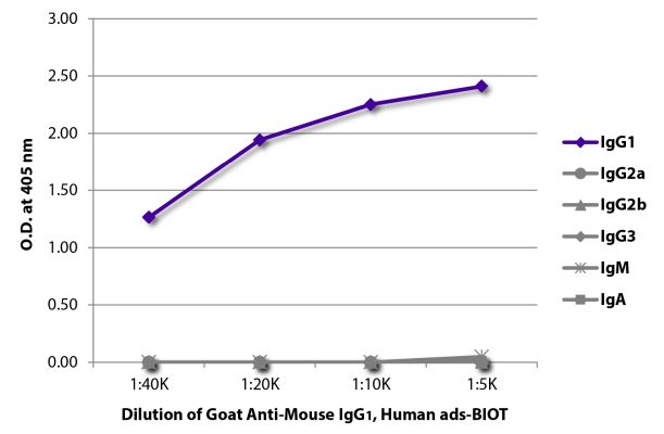 Image: Goat IgG anti-Mouse IgG1 (Fc)-Biotin, MinX Hu