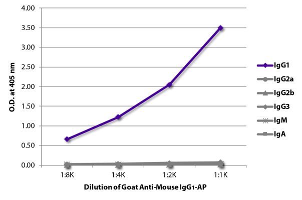 Abbildung: Ziege IgG anti-Maus IgG1 (Fc)-Alk. Phos., MinX keine
