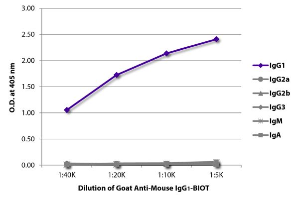 Abbildung: Ziege IgG anti-Maus IgG1 (Fc)-Biotin, MinX keine