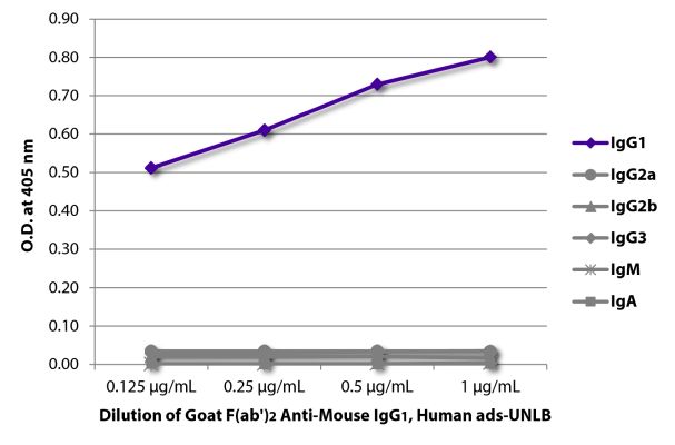 Abbildung: Ziege F(ab')2 anti-Maus IgG1 (Fc)-unkonj., MinX Hu