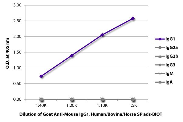 Abbildung: Ziege IgG anti-Maus IgG1 (Fc)-Biotin, MinX Hu,Bo,Ho