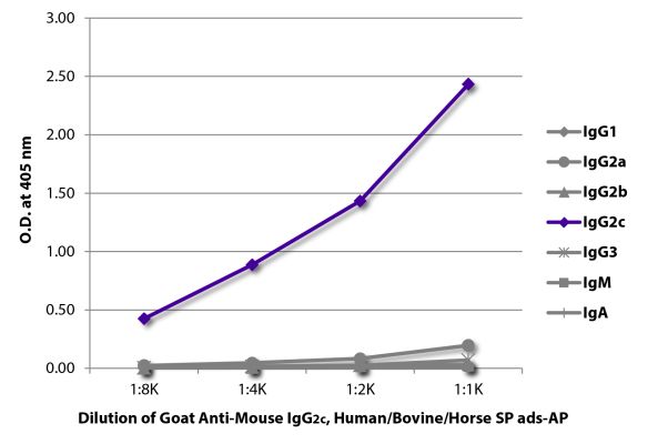 Abbildung: Ziege IgG anti-Maus IgG2c (Fc)-Alk. Phos., MinX Hu,Bo,Ho