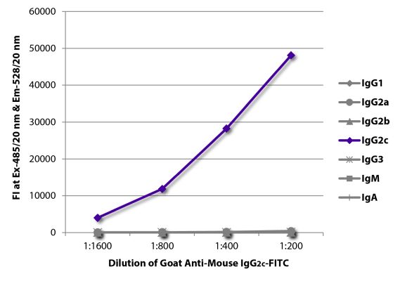 Abbildung: Ziege IgG anti-Maus IgG2c (Fc)-FITC, MinX keine