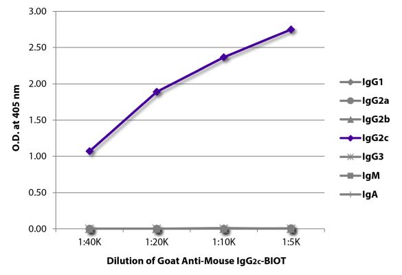 Abbildung: Ziege IgG anti-Maus IgG2c (Fc)-Biotin, MinX keine