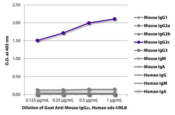 Abbildung: Ziege IgG anti-Maus IgG2c (Fc)-unkonj., MinX Hu