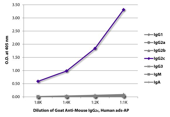 Abbildung: Ziege IgG anti-Maus IgG2c (Fc)-Alk. Phos., MinX Hu