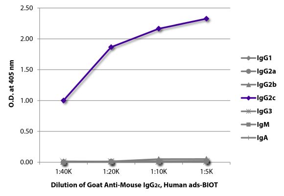 Abbildung: Ziege IgG anti-Maus IgG2c (Fc)-Biotin, MinX Hu