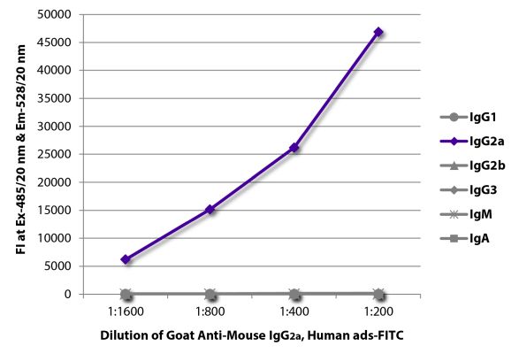 Abbildung: Ziege IgG anti-Maus IgG2a (Fc)-FITC, MinX Hu