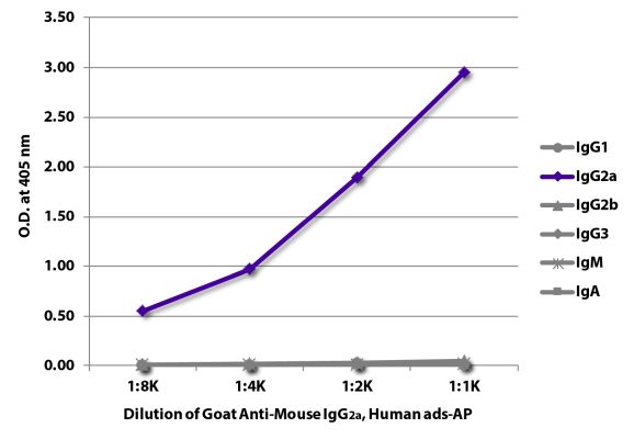Abbildung: Ziege IgG anti-Maus IgG2a (Fc)-Alk. Phos., MinX Hu