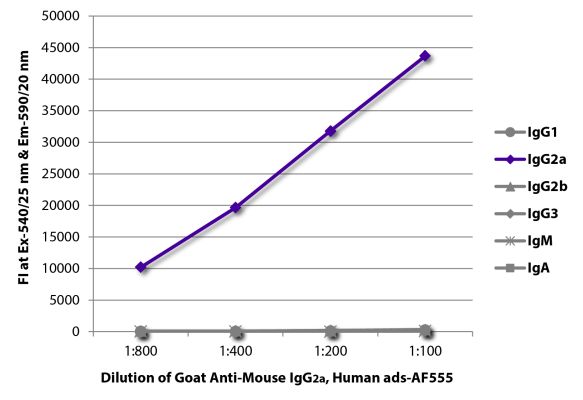 Image: Goat IgG anti-Mouse IgG2a (Fc)-Alexa Fluor 555, MinX Hu