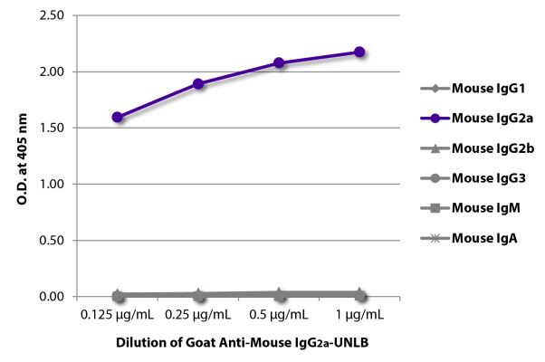 Abbildung: Ziege IgG anti-Maus IgG2a (Fc)-unkonj., MinX keine