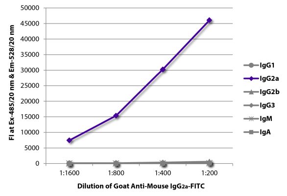 Abbildung: Ziege IgG anti-Maus IgG2a (Fc)-FITC, MinX keine