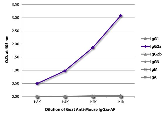 Image: Goat IgG anti-Mouse IgG2a (Fc)-Alk. Phos., MinX none