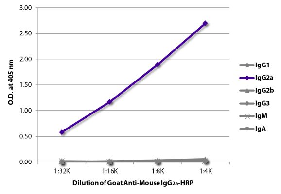 Abbildung: Ziege IgG anti-Maus IgG2a (Fc)-HRPO, MinX keine