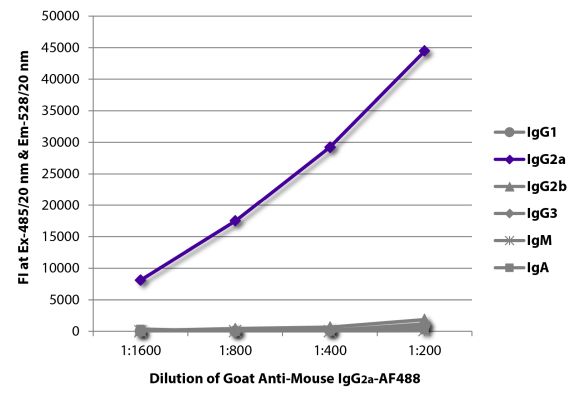 Image: Goat IgG anti-Mouse IgG2a (Fc)-Alexa Fluor 488, MinX none