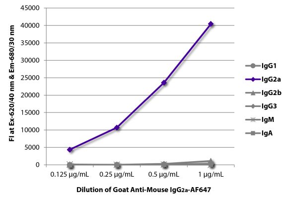 Abbildung: Ziege IgG anti-Maus IgG2a (Fc)-Alexa Fluor 647, MinX keine