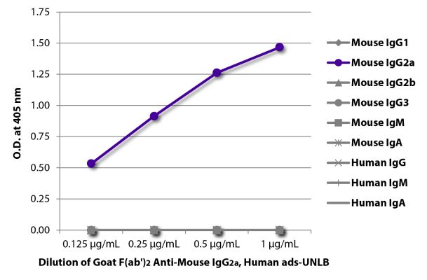 Image: Goat F(ab')2 anti-Mouse IgG2a (Fc)-unconj., MinX Hu