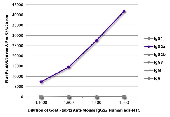Abbildung: Ziege F(ab')2 anti-Maus IgG2a (Fc)-FITC, MinX Hu