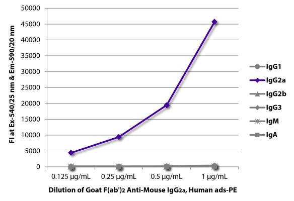 Image: Goat F(ab')2 anti-Mouse IgG2a (Fc)-RPE, MinX Hu