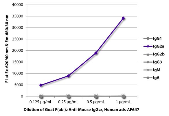 Image: Goat F(ab')2 anti-Mouse IgG2a (Fc)-Alexa Fluor 647, MinX Hu