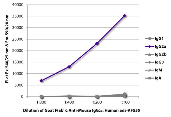 Image: Goat F(ab')2 anti-Mouse IgG2a (Fc)-Alexa Fluor 555, MinX Hu