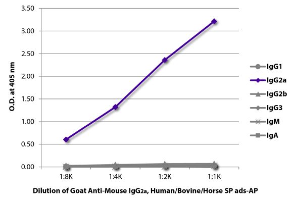 Abbildung: Ziege IgG anti-Maus IgG2a (Fc)-Alk. Phos., MinX Hu,Bo,Ho