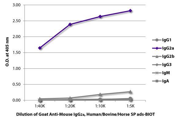 Image: Goat IgG anti-Mouse IgG2a (Fc)-Biotin, MinX Hu,Bo,Ho