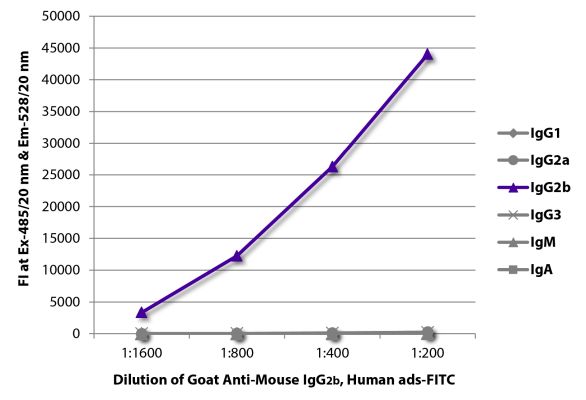Abbildung: Ziege IgG anti-Maus IgG2b (Fc)-FITC, MinX Hu