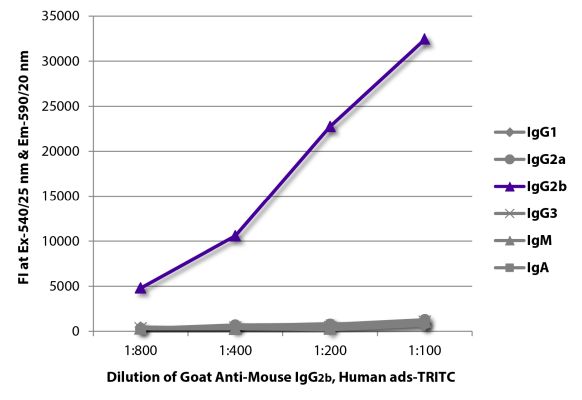 Abbildung: Ziege IgG anti-Maus IgG2b (Fc)-TRITC, MinX Hu