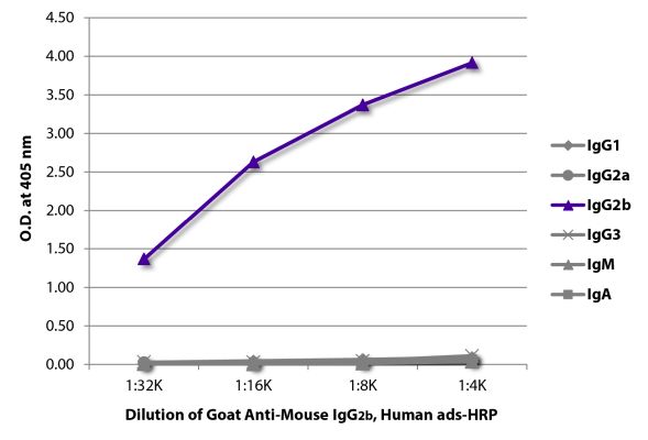 Abbildung: Ziege IgG anti-Maus IgG2b (Fc)-HRPO, MinX Hu