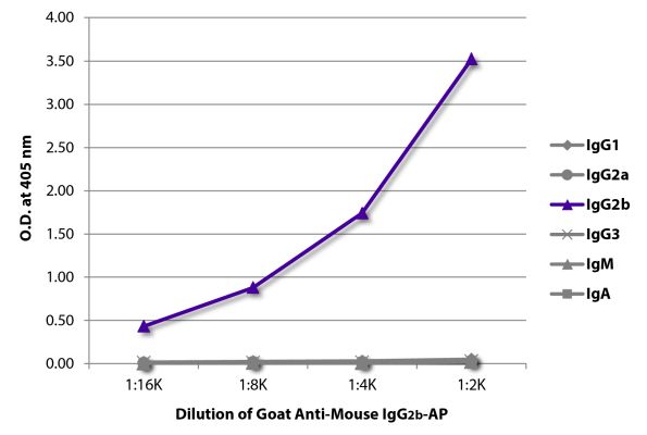 Abbildung: Ziege IgG anti-Maus IgG2b (Fc)-Alk. Phos., MinX keine