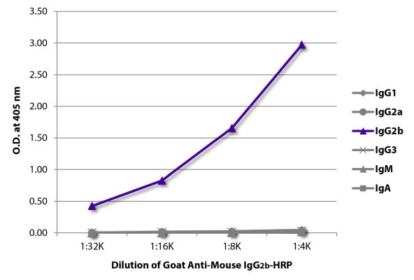 Abbildung: Ziege IgG anti-Maus IgG2b (Fc)-HRPO, MinX keine