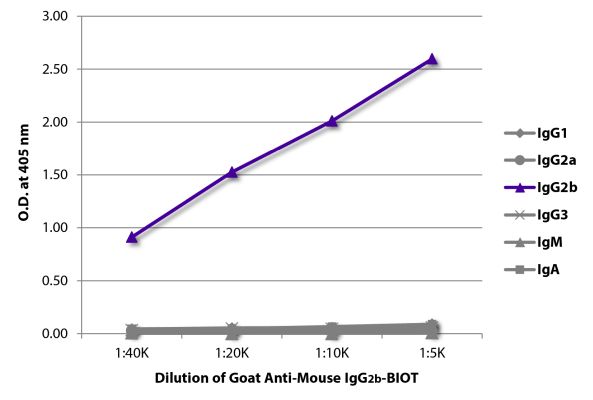 Abbildung: Ziege IgG anti-Maus IgG2b (Fc)-Biotin, MinX keine