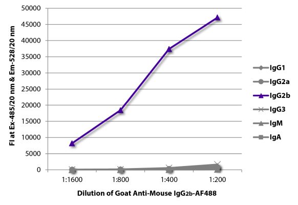 Abbildung: Ziege IgG anti-Maus IgG2b (Fc)-Alexa Fluor 488, MinX keine