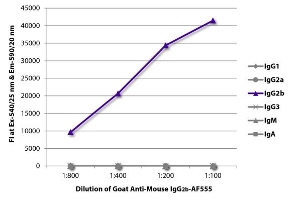 Abbildung: Ziege IgG anti-Maus IgG2b (Fc)-Alexa Fluor 555, MinX keine