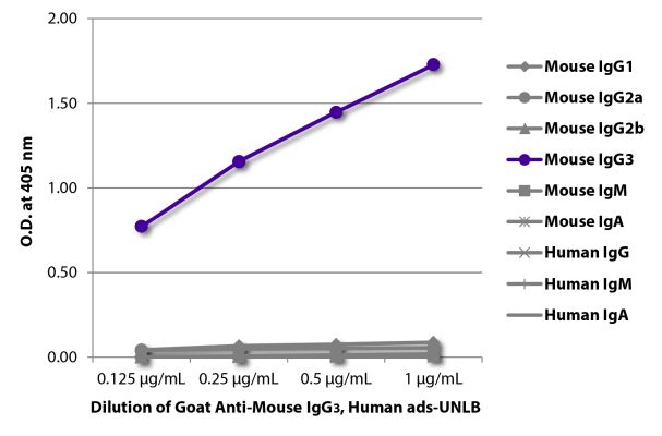 Abbildung: Ziege IgG anti-Maus IgG3 (Fc)-unkonj., MinX Hu